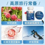 Пекинг Тонгрентенганг Свален-Родиола мягкая капсула подлинная официальная анти-высокая реакция пероральная жидкость