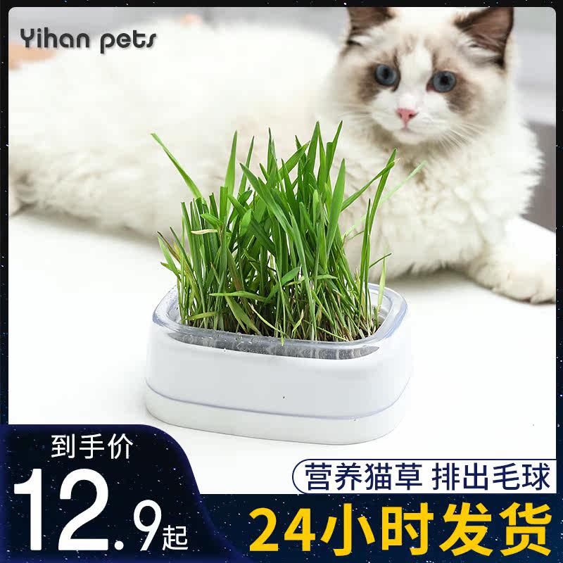 猫草种子水培猫薄荷猫零食除毛球化毛膏猫草种籽盆栽套装猫咪用品 返利优惠券