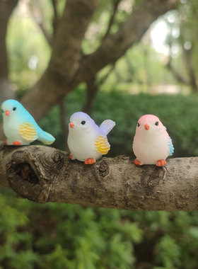 迷你可爱小鸟微景观多肉盆景