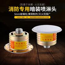 Fire Sprinkler Concealed Spray Head Spray Head Zstäddy Concealed Hotel Concealed ex-gratia sprinkler fire