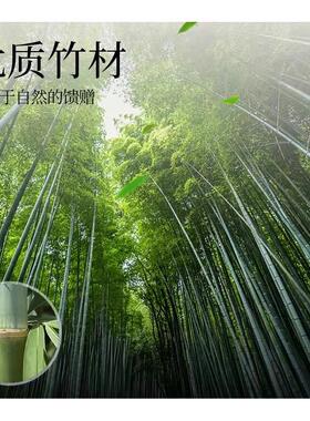 包邮大号碳化竹炭拔火罐竹罐竹火罐家用防爆减肥竹筒吸筒