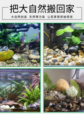 鱼池底部装饰品石头鱼缸里的庭院造景阳台摆件水缸水池小院流水景