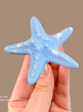 海盐蓝海星发夹刘海侧边夹子前额