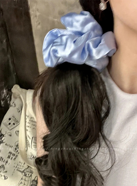 章小蕙同款kitsch枕头大肠发圈女
