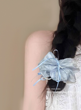 蓝色珍珠蝴蝶结大肠发圈女高级感