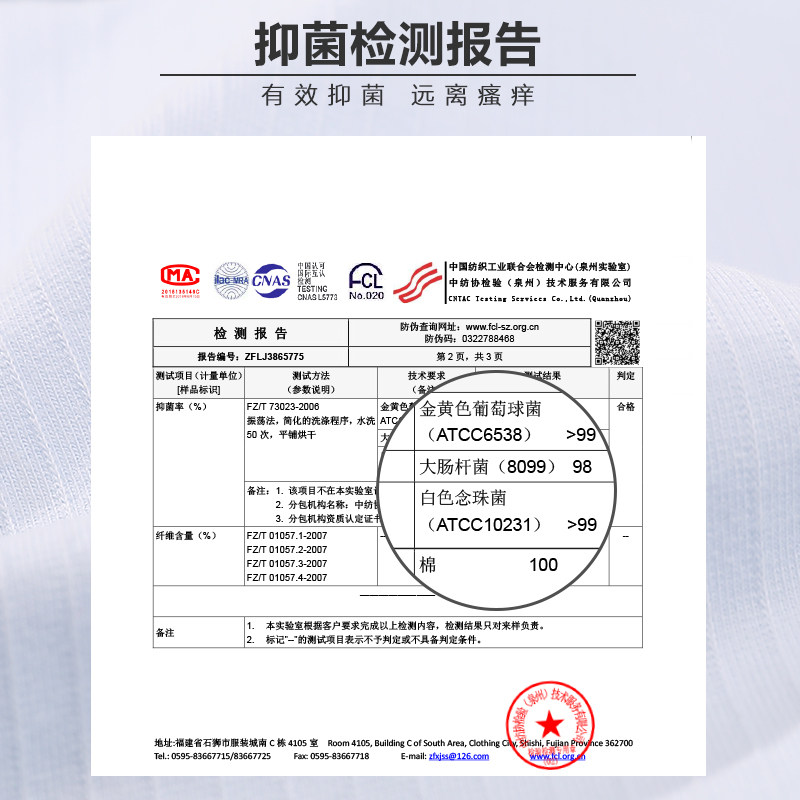 芬腾ftkk可爱布朗熊纯棉女抗菌内裤 ftkk内裤