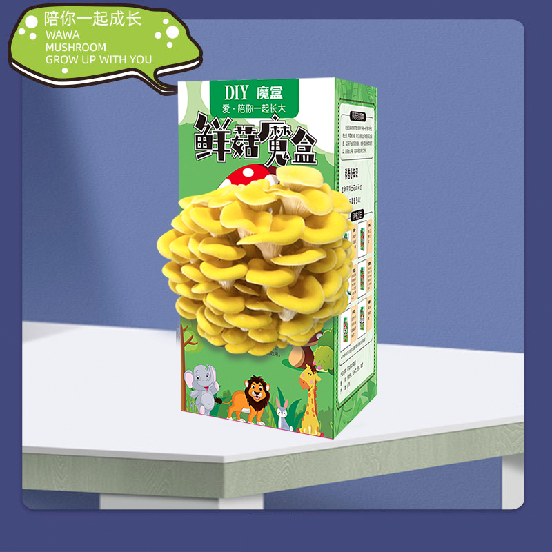 蘑菇种植包儿童种植蘑菇小盆栽学校桌面趣味神奇植物家庭菌菇菌包 - 图1