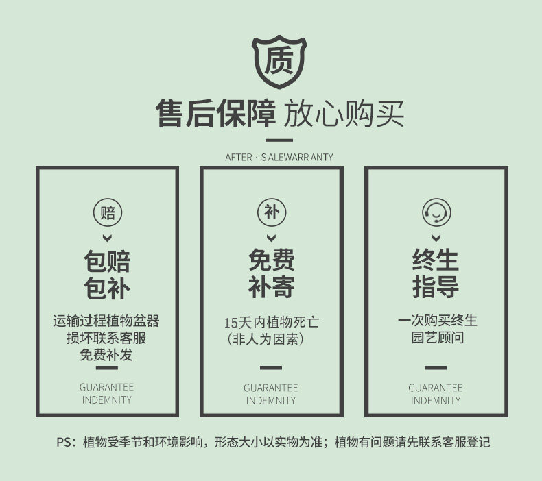 发财树小盆栽办公室绿萝箩水培绿植花卉植物室内花文竹四季好水养,淘宝优惠券,粉丝福利购,淘宝优惠卷