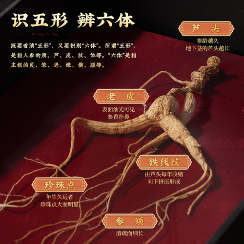 胡庆余堂官方滋补旗舰店7.1g-9.0g国检二等野山参礼盒带检测证书 - 图1