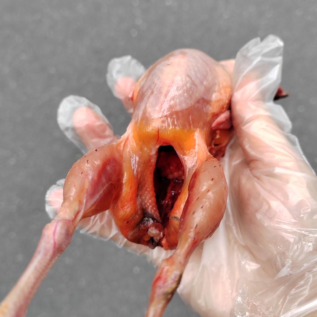 The quails are now being slaughtered and raised in the farmhouse to make soup for the elderly, which is sweet and refreshing.