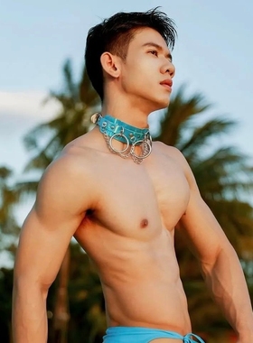 男士欧美PU皮颈链项链