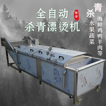Water-removing colour-protection machine West blue flower precooking cleaning assembly line konjac pre-boiling blanching equipment blanching and cooking equipment