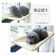 Suction cup window sill cat sleeping bed hanging cat bed
