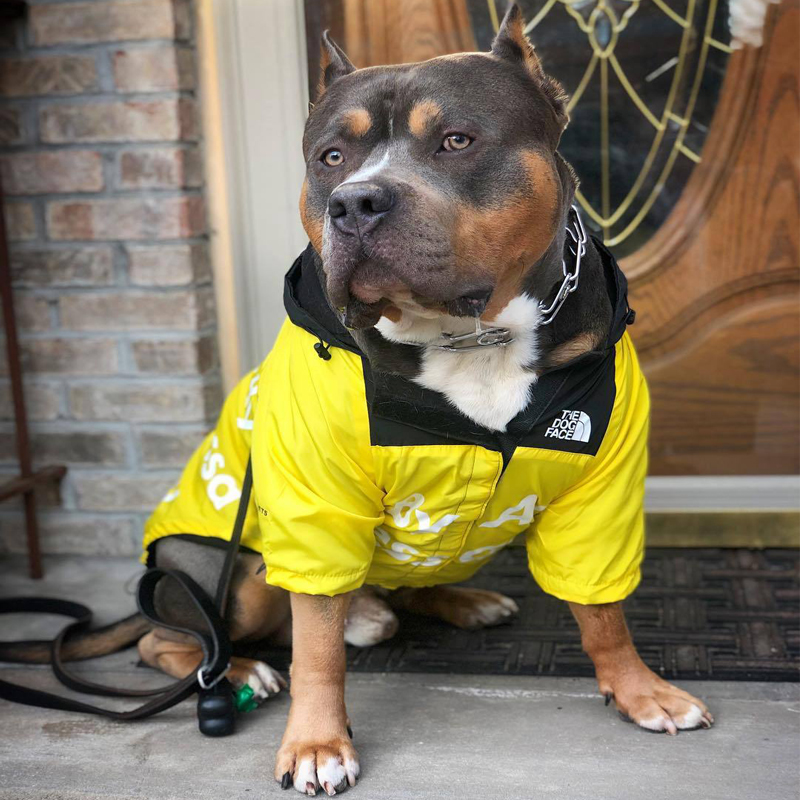 狗狗户外冲锋衣小型犬中型犬防雨防水衣服狗雨衣柴犬边牧柯基雨披