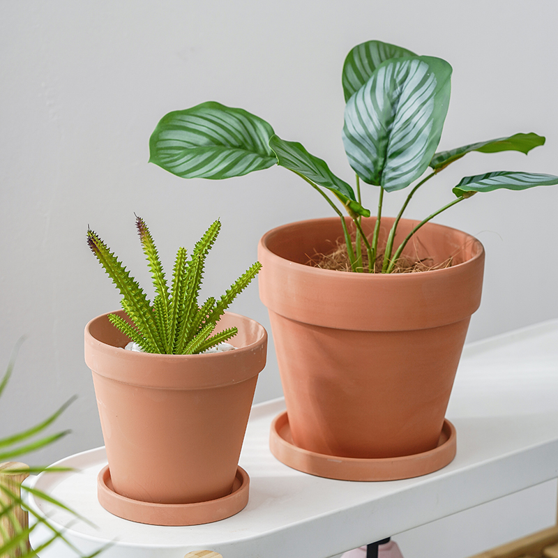 多个套装红陶花盆多肉植物陶瓷泥瓦盆高圆型透气陶土宽边盆带托盘