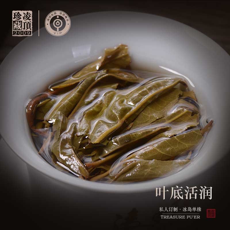 凌顶私人定制冰岛老寨古树春茶普洱茶生茶饼云南七子饼茶礼盒装