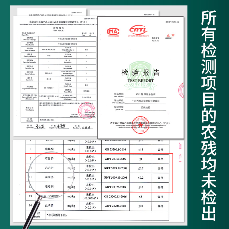 [春茶传承唐]水仙春茶 天池茶业凤凰单枞茶 水仙单丛125g - 图3