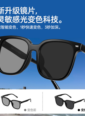 ZIPPO太阳镜超轻智能变色高清偏光防紫外线护眼墨镜男女69150