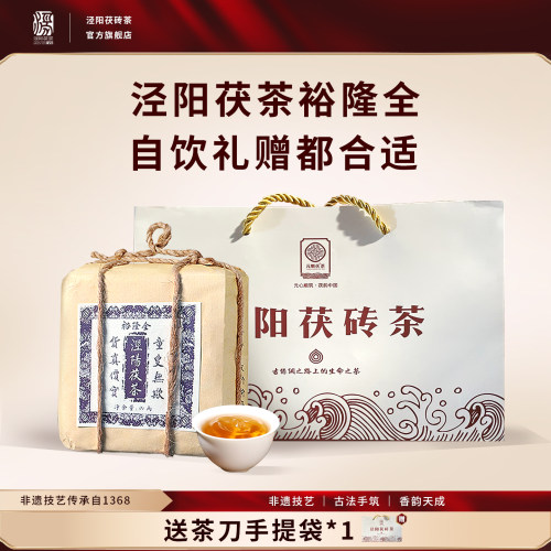 泾阳茯茶三年元顺裕隆全简包500g金花黑茶特级藏茶茯砖茶陕西官茶 - 图0