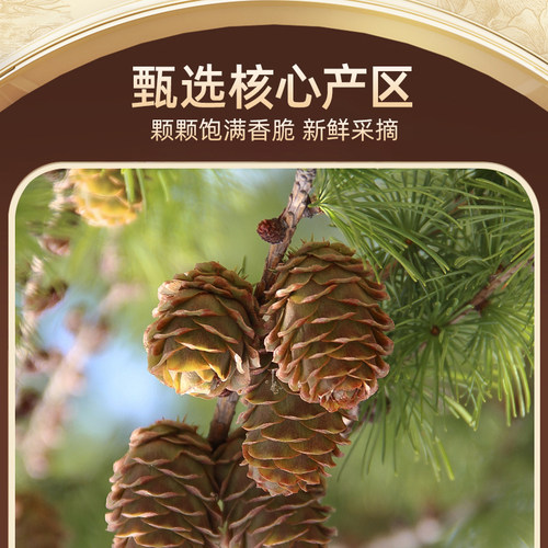 巴西松子手剥阿富汗500g新货长粒特产级大颗粒坚果年货零食旗舰店 - 图0