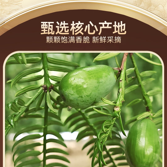 新货开口香榧500g坚果香榧子旗舰店特产香妃枫诸暨桥老树香匪零食