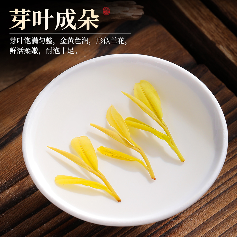 黄金芽2024年新茶特级明前绿茶安吉奶白茶正品官方旗舰店茶叶500g - 图2