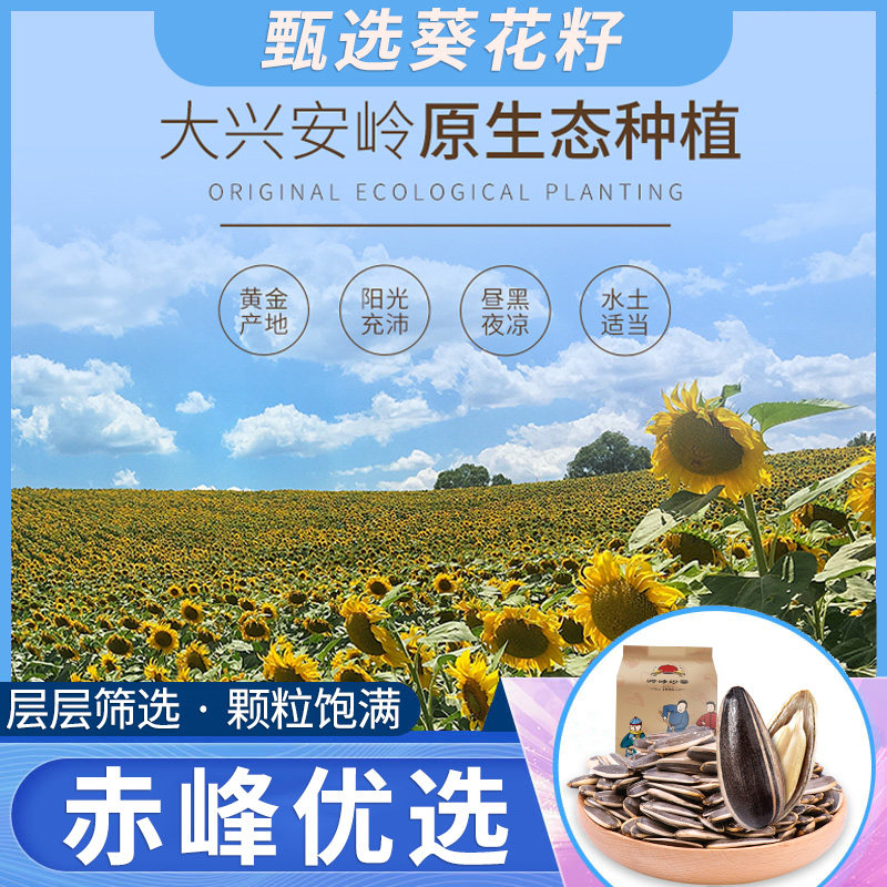 岭峥原味散装5斤袋装小干炒瓜子 岭峥瓜子