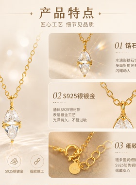 S925银马眼水滴锆石锁骨链百搭