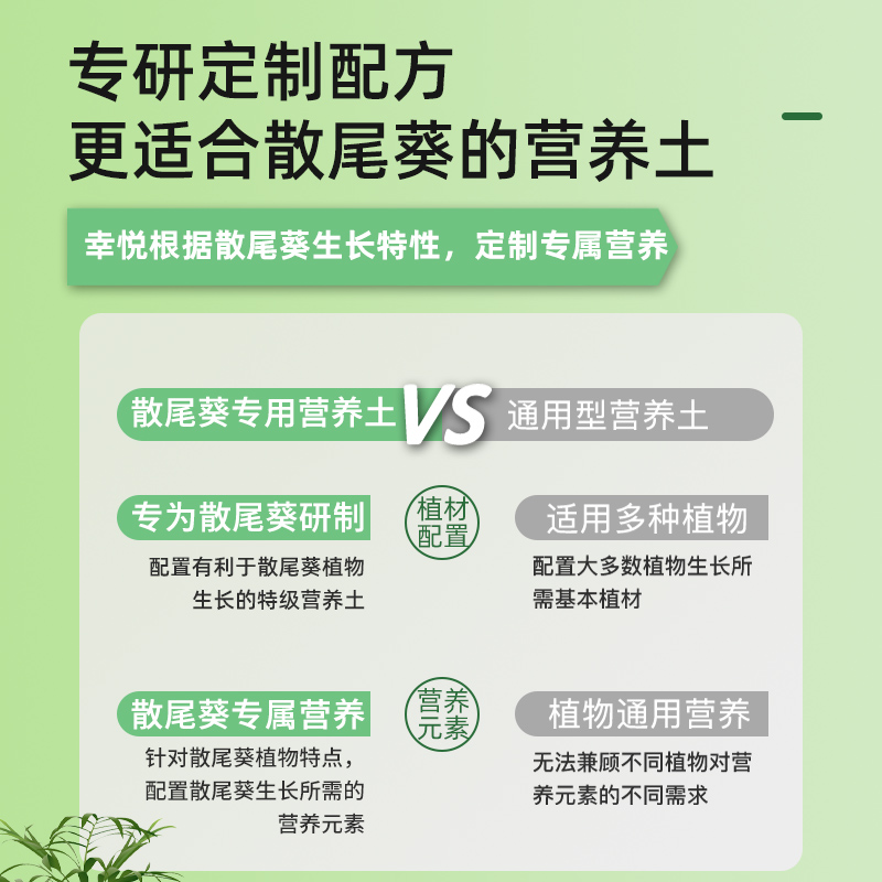 养散尾葵专用土营养土养花专用通用土壤肥料凤尾葵土培养土种植土 - 图1