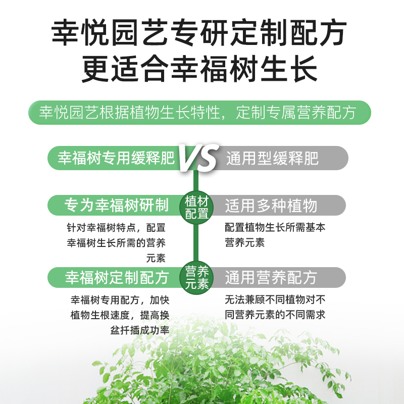 幸福树专用缓释肥复合肥家用型控释颗粒植物盆栽绿植花卉养花肥料 - 图1