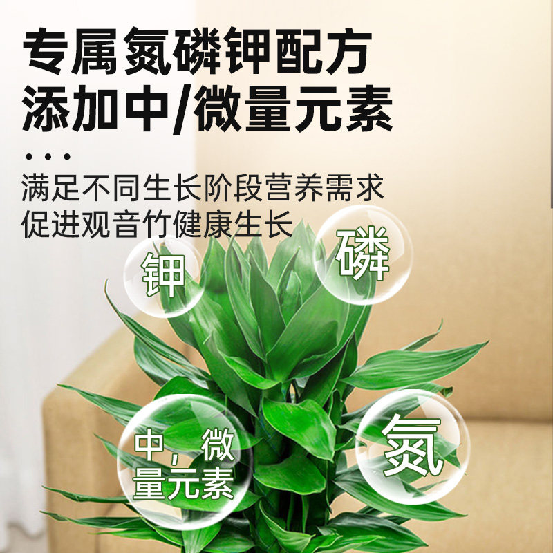 观音竹营养液叶子发黄水培带根营养液专用肥料植物盆栽营养水,淘宝优惠券,粉丝福利购,淘宝优惠卷