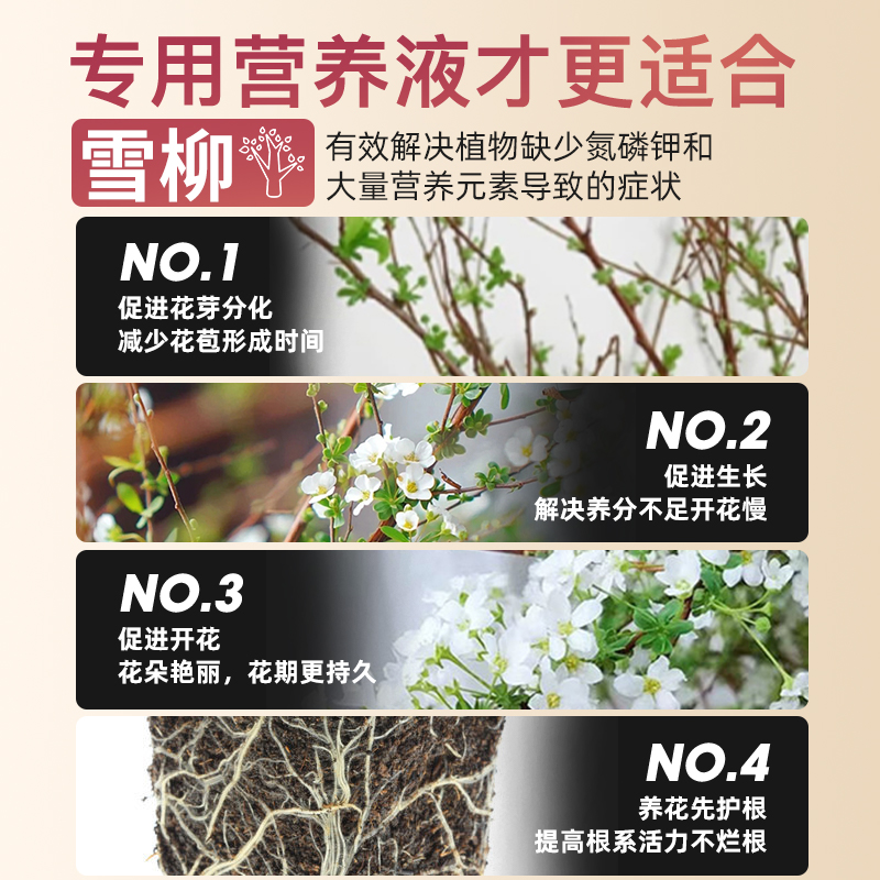 干支雪柳营养液喷雪花水培植物营养液鲜枝盆栽专用龙柳水养花肥料-图2