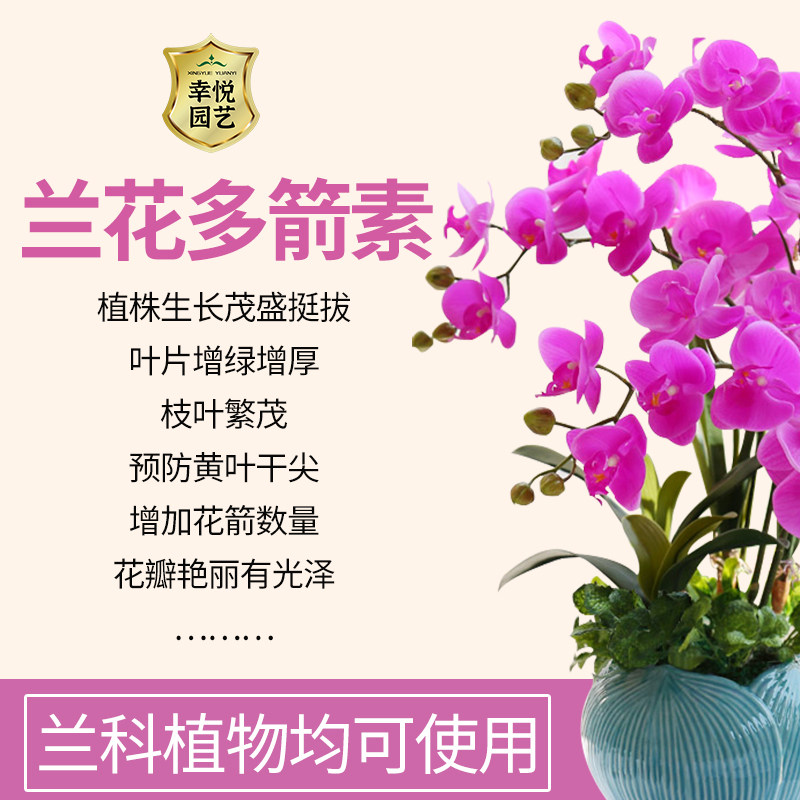 兰花多箭素爆芽素专用营养液肥料专用肥促开花素冒箭素蝴蝶兰肥料,淘宝优惠券,粉丝福利购,淘宝优惠卷