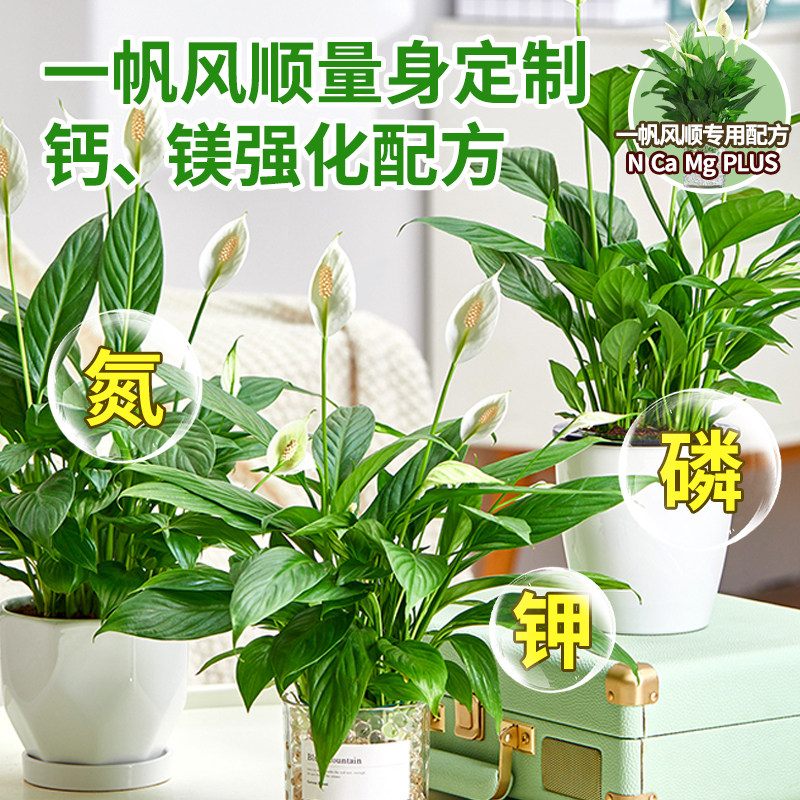 一帆风顺营养液免稀释红掌专用肥料花肥火鹤盆栽水培白掌营养液,淘宝优惠券,粉丝福利购,淘宝优惠卷