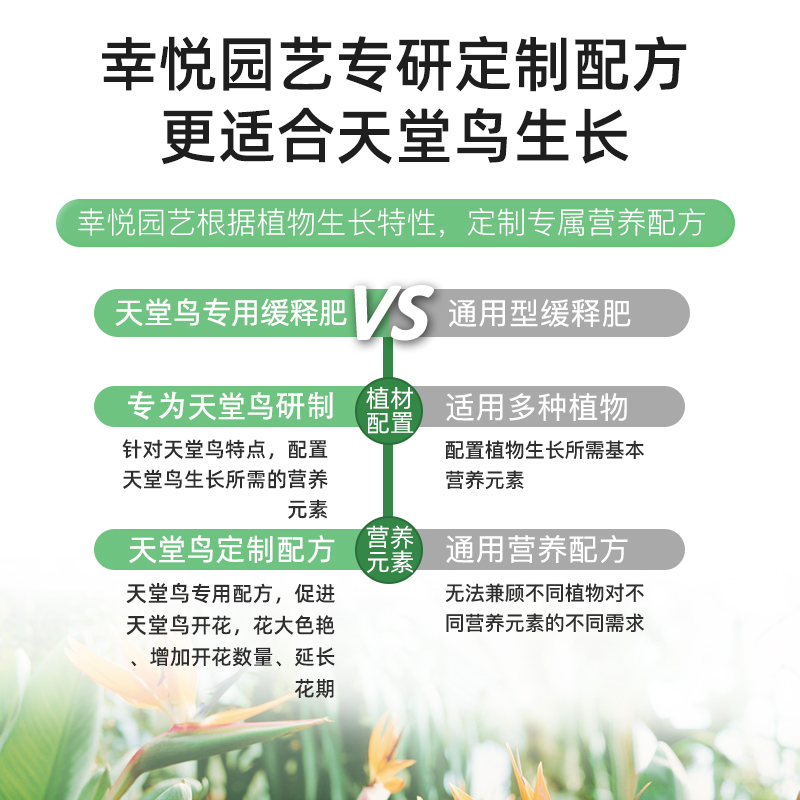 天堂鸟专用肥料急救黄叶卷边开裂缓释肥鹤望兰花肥开花颗粒控释肥 - 图1