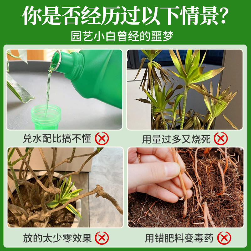 百合竹营养液花肥百合竹专用肥料治叶子发黄绿植水溶肥叶面肥,淘宝优惠券,粉丝福利购,淘宝优惠卷