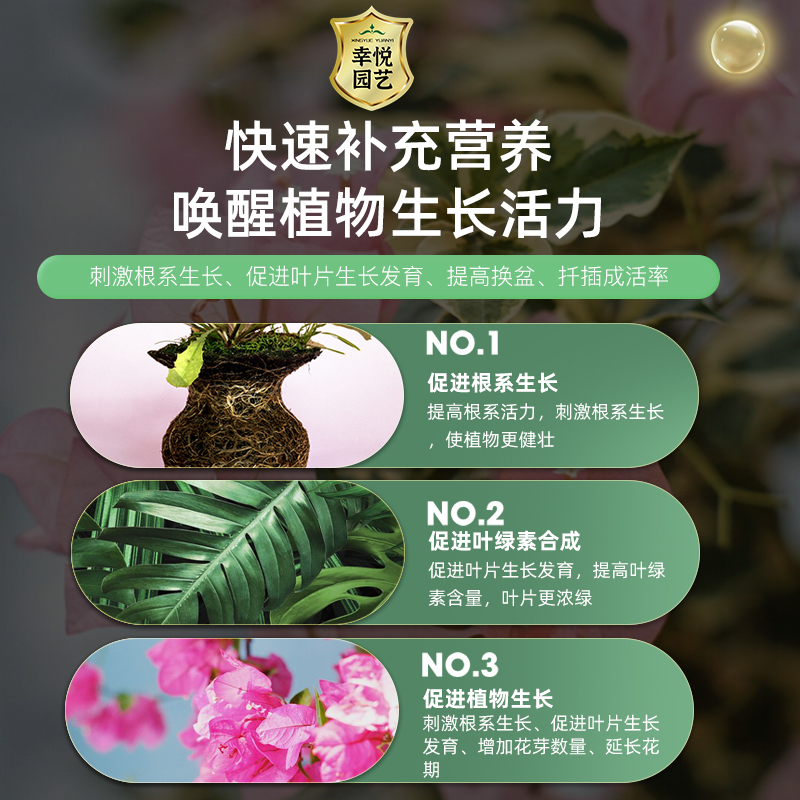 三角梅开花专用肥促开花爆花肥家用养花复合肥长效肥颗粒缓释肥料 - 图3
