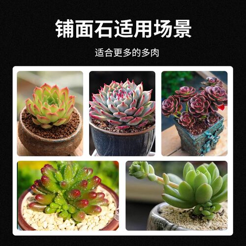 铺面石多肉专用营养土颗粒植物花盆栽装饰石子头陶粒麦饭石盖面石 - 图3