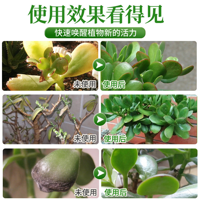 玉树营养液治黄叶老桩玉树专用肥料免稀释液体肥叶面肥盆栽,淘宝优惠券,粉丝福利购,淘宝优惠卷