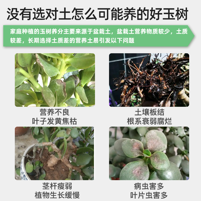 栽玉树专用土肥料花土营养土养花专用通用盆栽土壤用土泥土种植土 - 图0