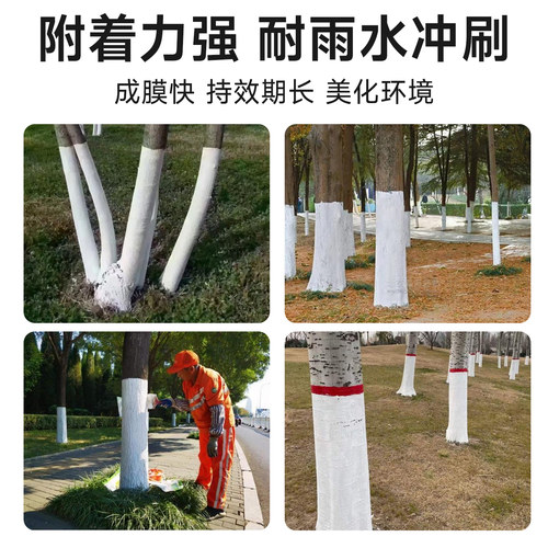 树木树干涂白剂大树刷白园林盆景树杆果树防虫防冻防寒杀菌石灰粉 - 图2