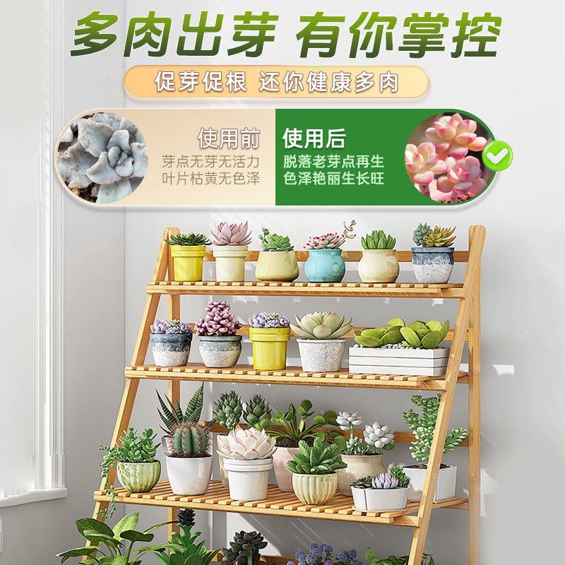 优芽素多肉专用爆芽素植物优牙素多肉营养液肥料专用肥多芽催芽素,淘宝优惠券,粉丝福利购,淘宝优惠卷