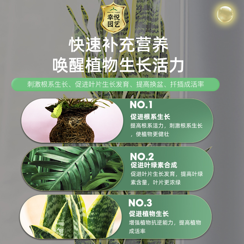 虎皮兰专用肥料花肥控释肥绿植金边虎皮兰复合肥虎尾兰肥料营养液 - 图3