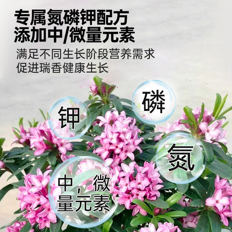 瑞香营养液花肥金边瑞香专用肥料治黄叶室内盆栽开花肥水溶液体肥,淘宝优惠券,粉丝福利购,淘宝优惠卷