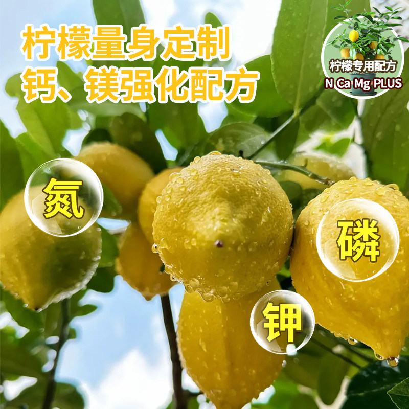 香水柠檬树肥料专用肥柠檬树营养液免稀释叶子发黄干枯盆栽植物花,淘宝优惠券,粉丝福利购,淘宝优惠卷