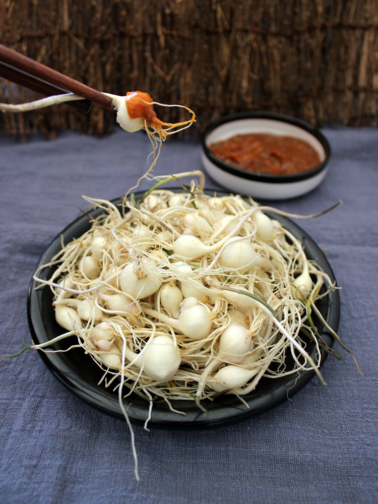 大脑瓜小根蒜 东北特产新鲜蔬菜大脑蹦当季生鲜250克装买1斤包邮