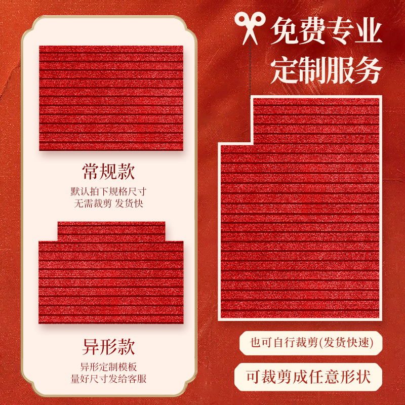 入户门地垫2025新款进门门口专用地垫家用地毯入户门脚踏垫可裁剪 - 图0