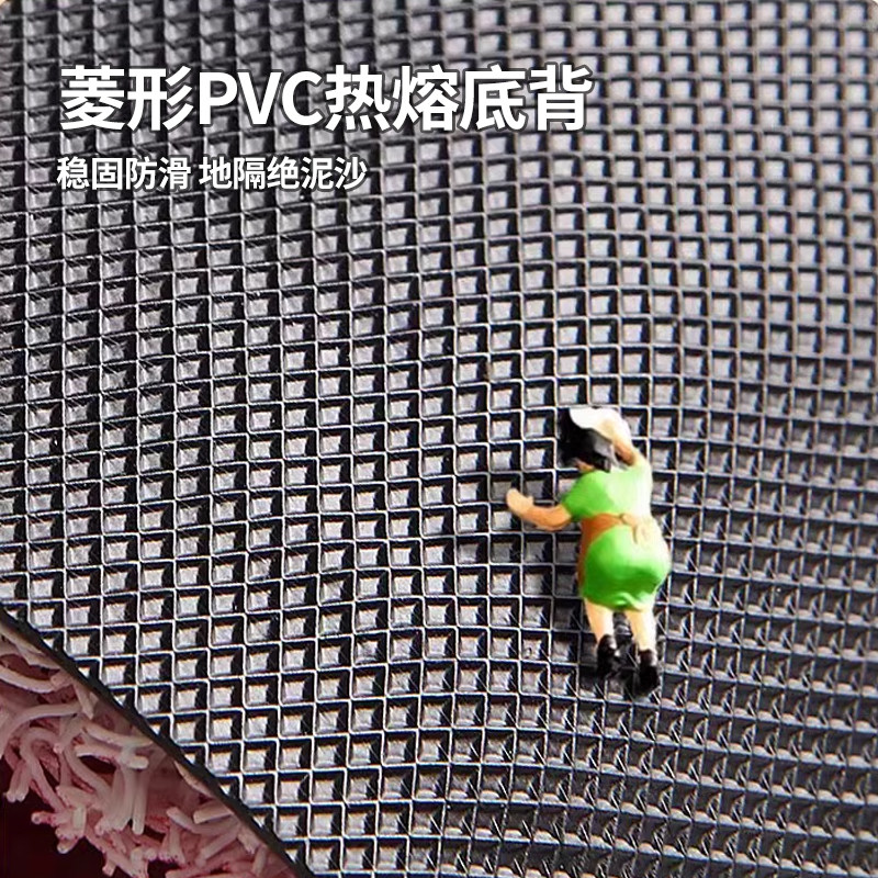 入户门垫红色丝圈进门门口家用玄关脚垫耐脏免洗门外防滑地毯地垫,淘宝优惠券,粉丝福利购,淘宝优惠卷