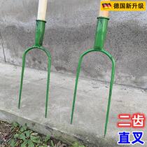 German Quality Two Teeth Fork Agricultural Straw Fork Two Strands Straight Fork Straight Tooth Rake Fork Grass Tool Two Teeth Fork