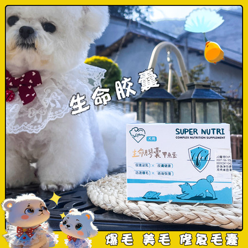 现货生命胶囊狗猫爆毛用术后皮肤病毛囊修复美毛孕犬下奶鳖蛋丸 - 图0